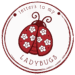 Letters to My Ladybugs